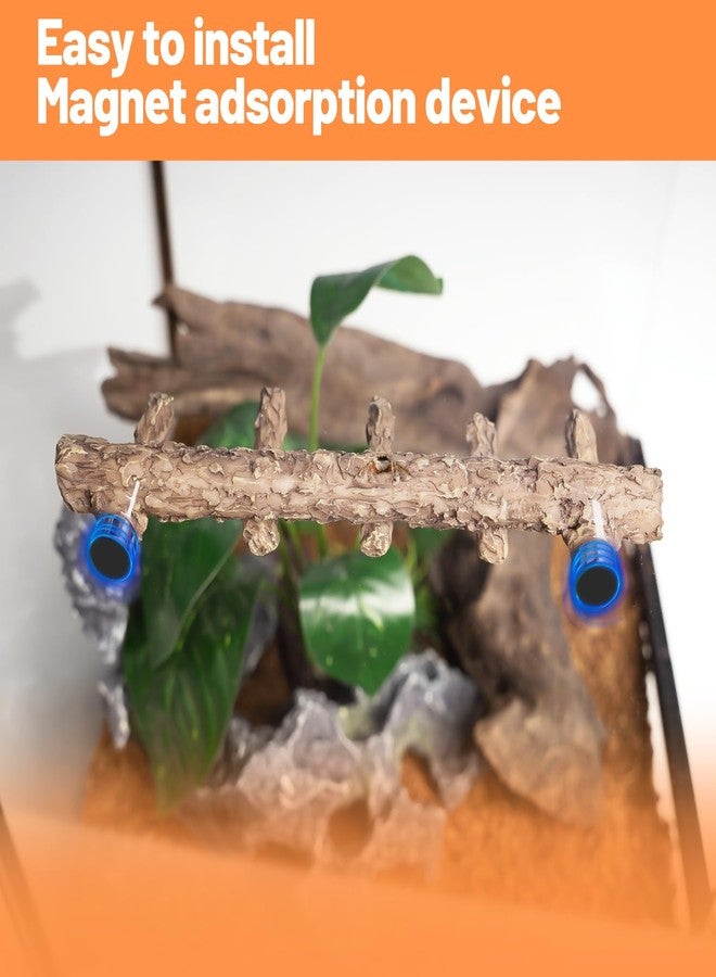 Oiibo Jumping Spider Hideout and Feeding Dish, 3 in 1 Nut Shaped Hide Cave Sets for Spider Playing Feeding Climbing, Enclosure Accessories - Image 4